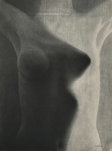 Women by Erwin Blumenfeld van VERVE Revue, Afdruk te koop op Singulart