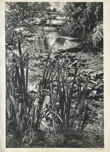 Giverny by Henri Cartier-Bresson van VERVE Revue, Afdruk te koop op Singulart