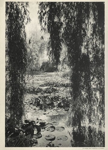 Water Lilies in Giverny by Henri Cartier-Bresson by VERVE Revue, 版畫 for Sale on Singulart