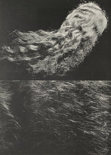 Hair by Erwin Blumenfeld van VERVE Revue, Afdruk te koop op Singulart