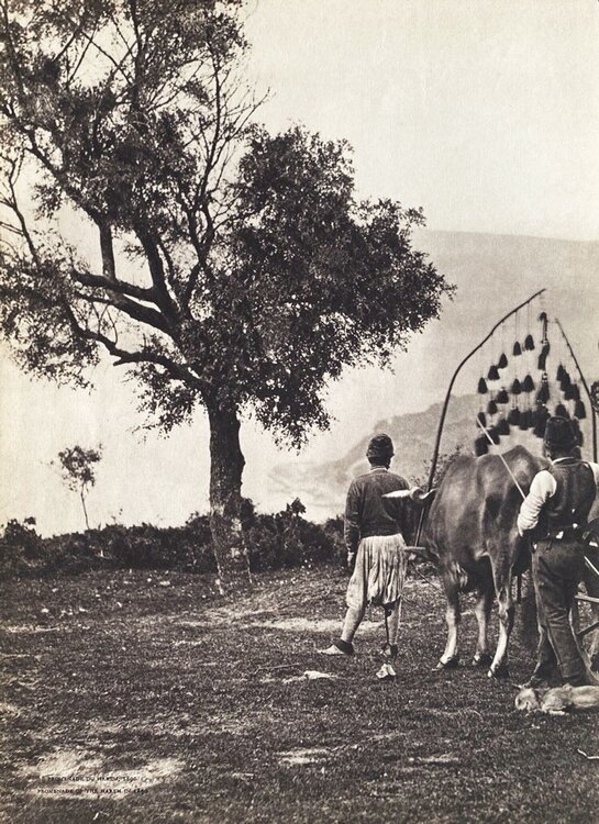 Promenade of the Harem (1890) VERVE Revue
