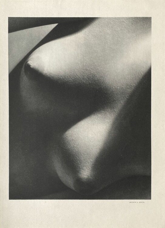 Nude by Arthur Siegel VERVE Revue