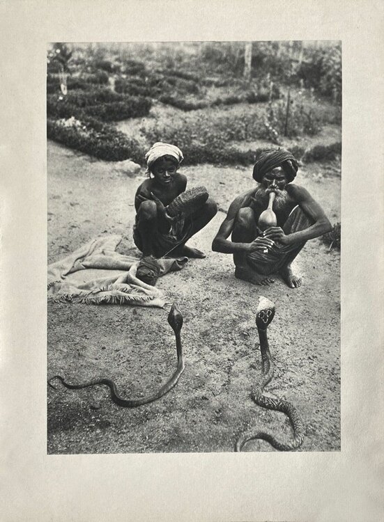 The snake charmer by Gaetan Fouquet VERVE Revue