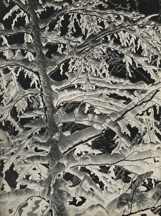Winter in the Alps by Karl Machatschek VERVE Revue