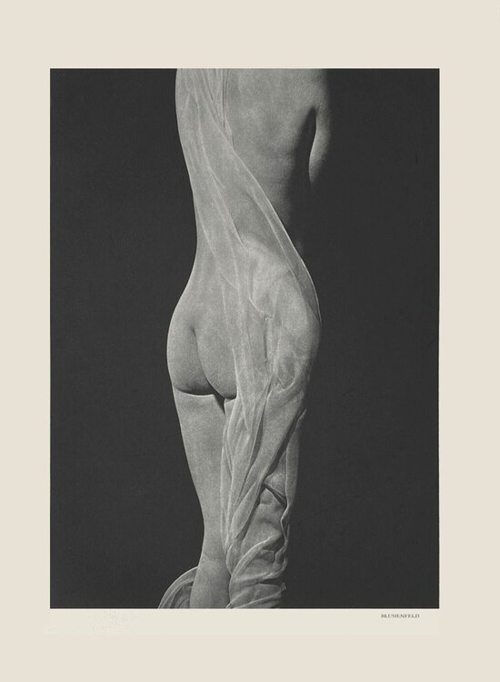 Back nude by Erwin Blumenfeld VERVE Revue
