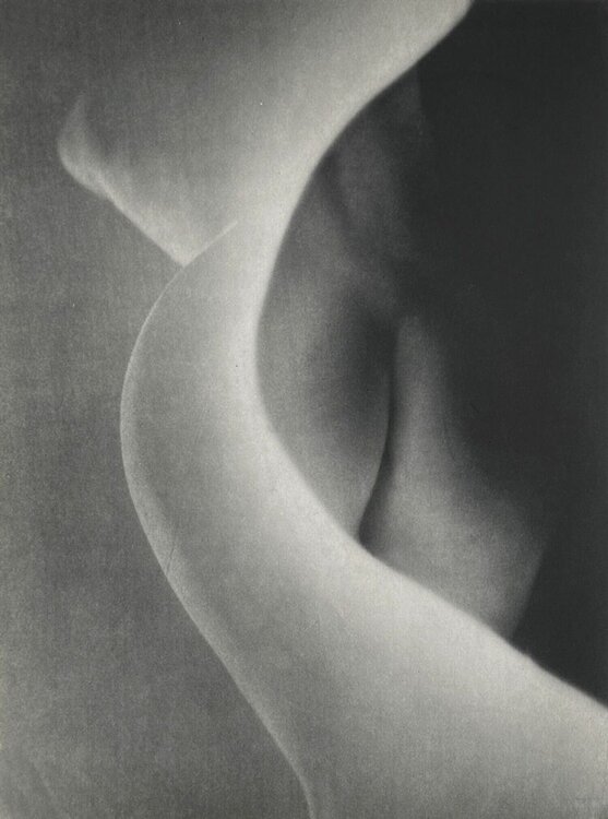 The Feminine vision by Erwin Blumenfeld VERVE Revue