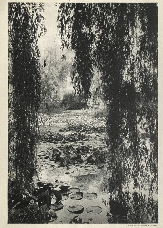 Water Lilies in Giverny by Henri Cartier-Bresson VERVE Revue
