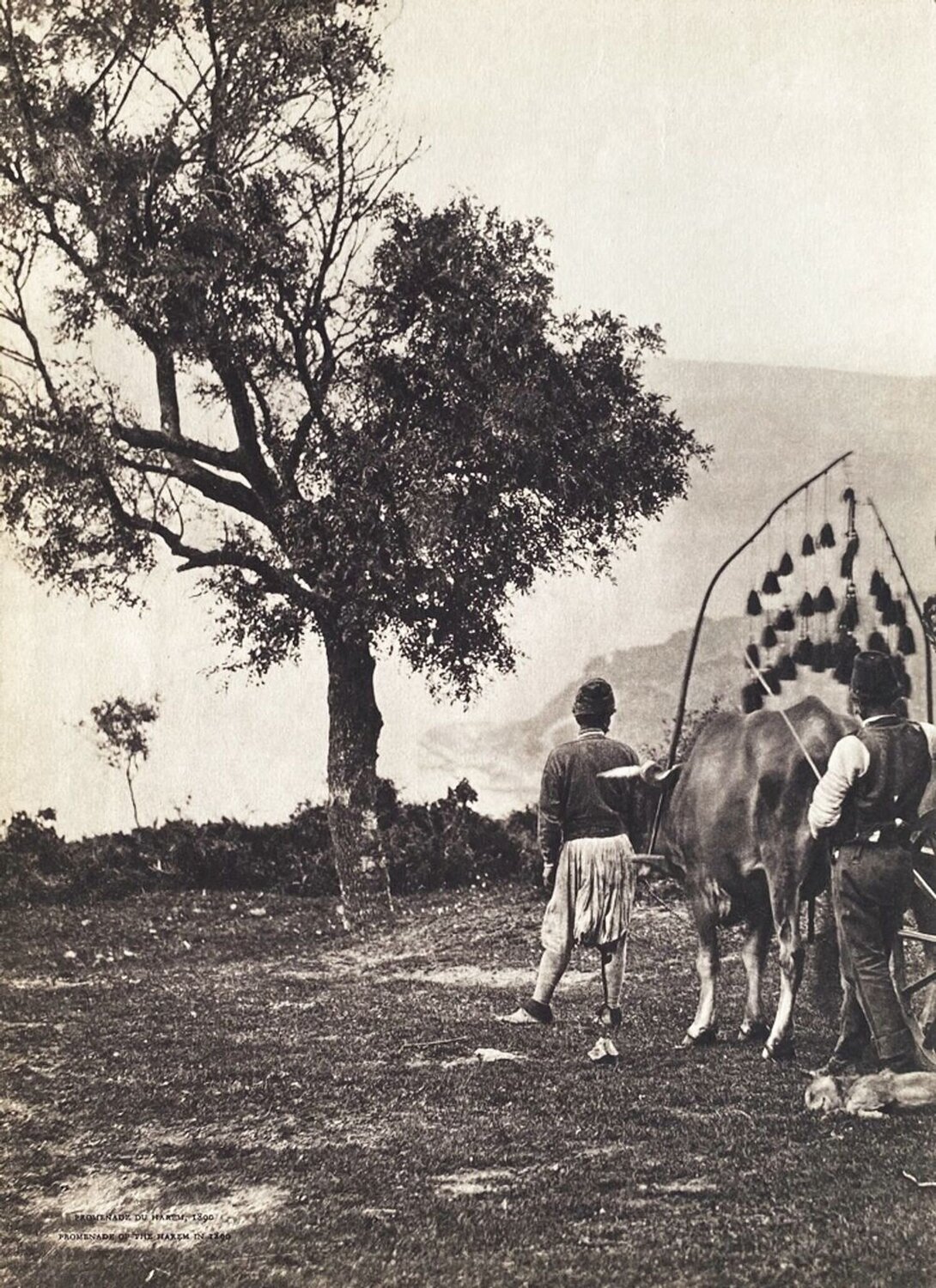 Promenade of the Harem (1890) VERVE Revue Druck zu verkaufen