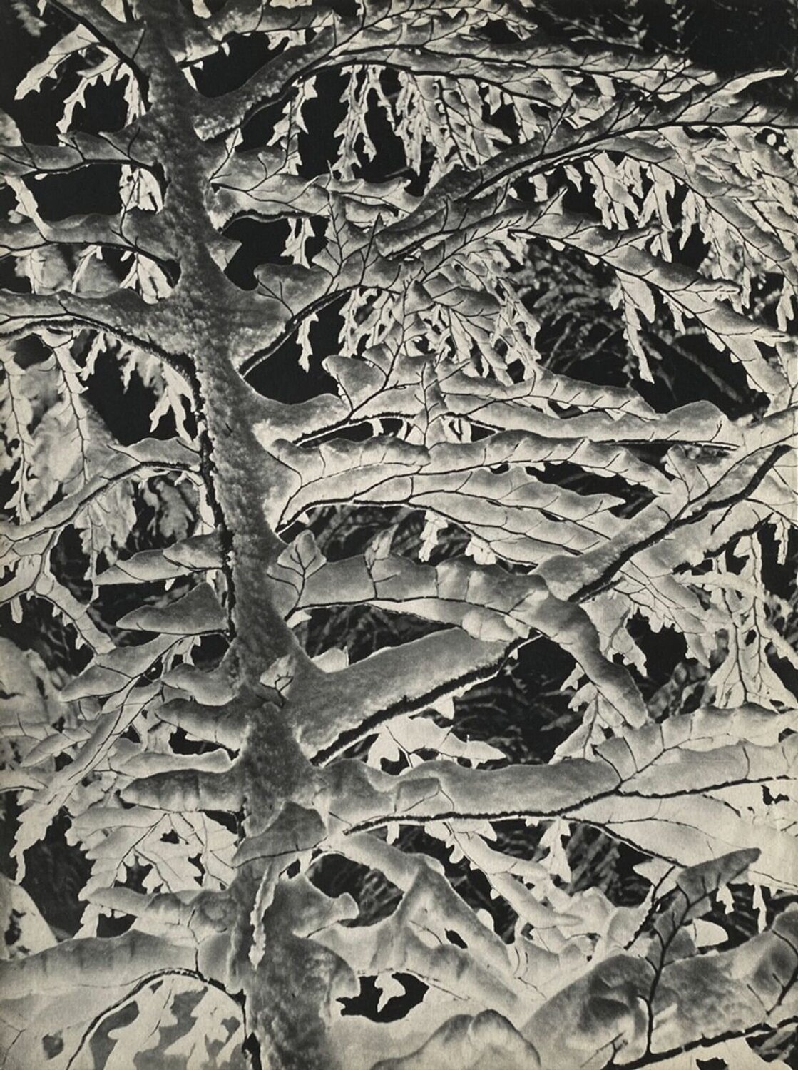 Winter in the Alps by Karl Machatschek VERVE Revue Druck zu verkaufen