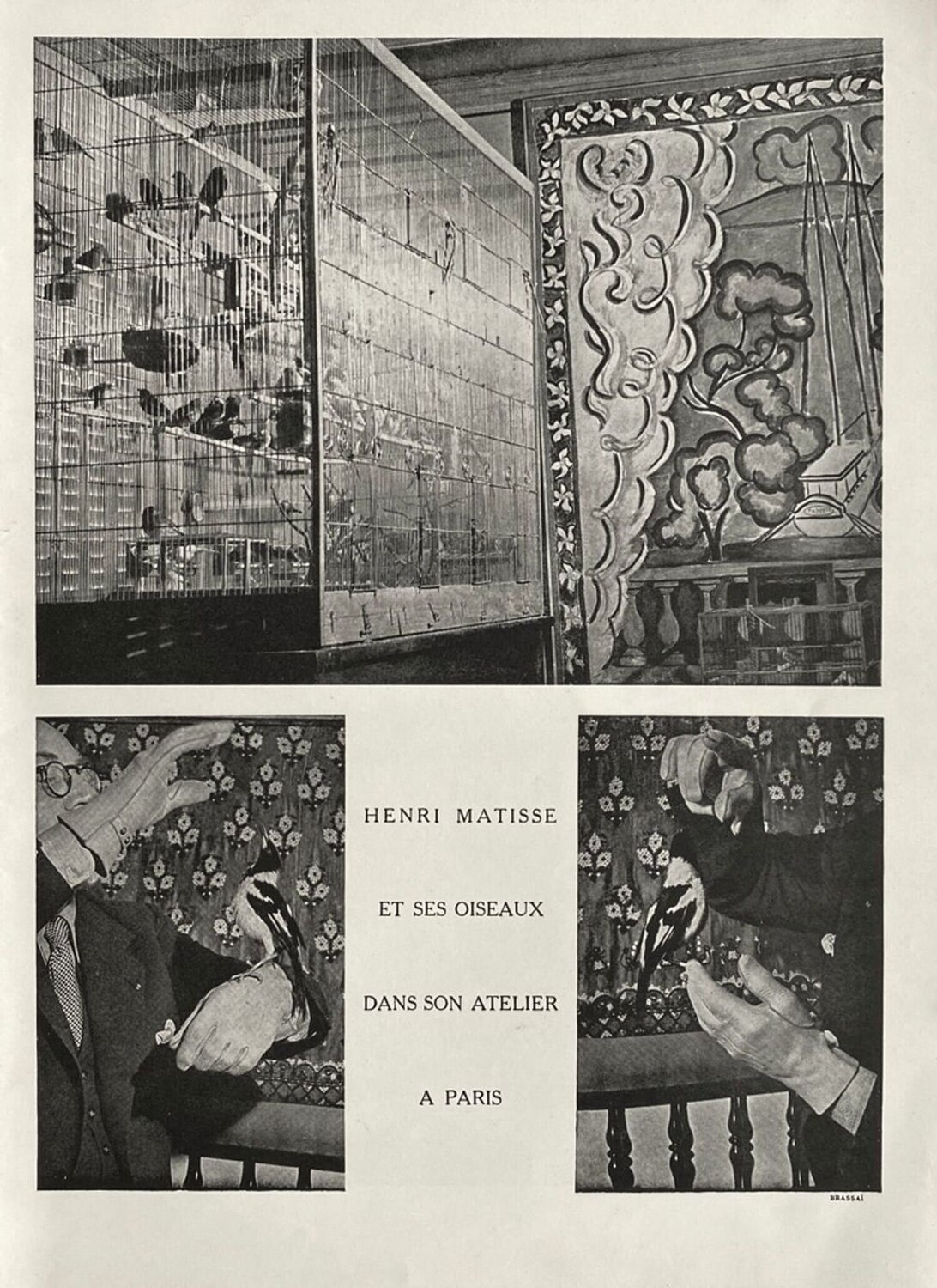Henri Matisse's aviary in his studio by Brassaï VERVE Revue Druck zu verkaufen