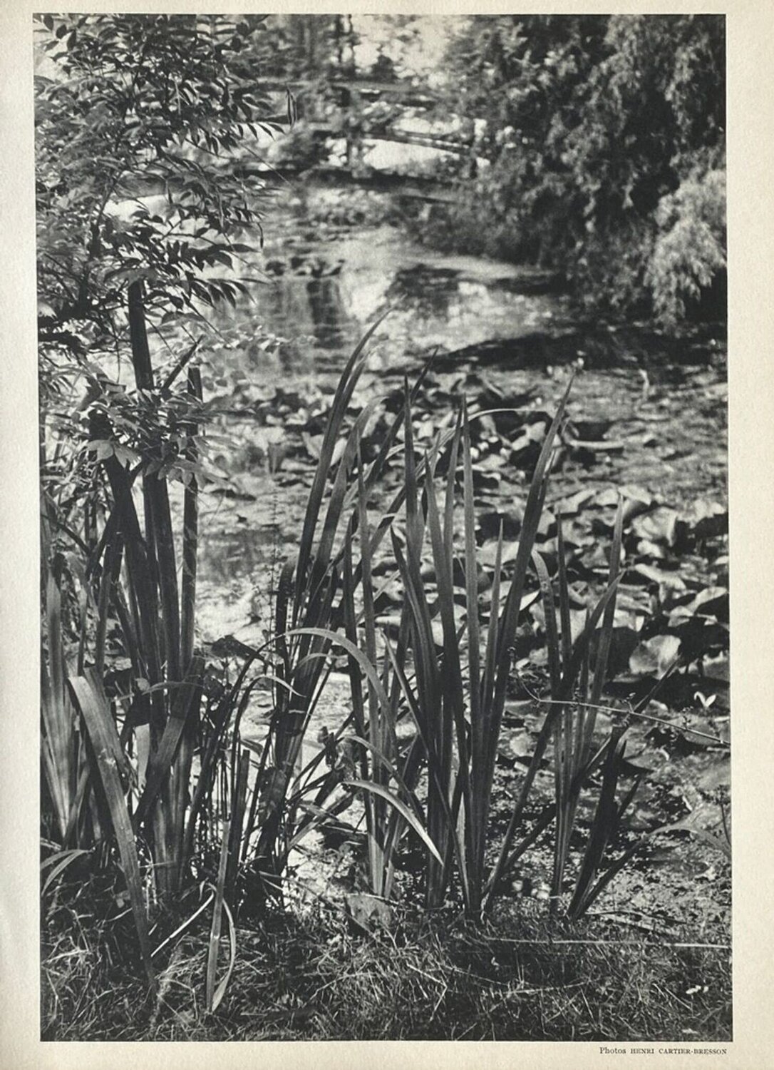 Giverny by Henri Cartier-Bresson VERVE Revue Druck zu verkaufen