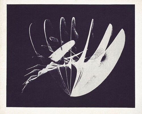 Composition von Enrique Broglia, Druck kaufen auf Singulart