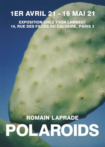 Polaroids 1 par Romain Laprade, Édition en vente sur Singulart