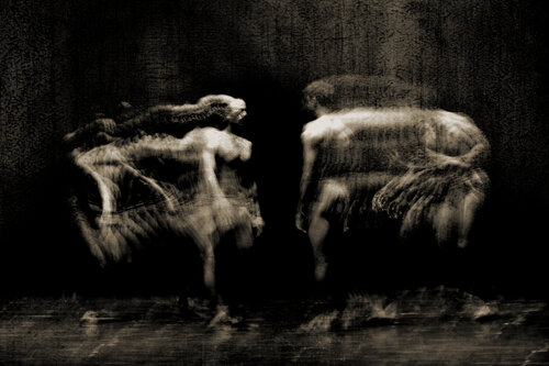 Anatomy of movement von Elena Zapassky, Fotografie kaufen auf Singulart