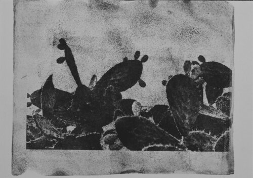 Sabra - Prickly pear cactus. Monoprint with gelli printing plate from my photography von Elena Zapassky, Werk auf Papier kaufen auf Singulart