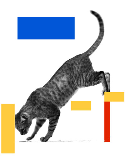 Bauhaus in Tel Aviv van Elena Zapassky, Fotografie te koop op Singulart