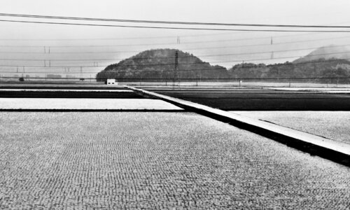 Japanese landscape from a train window Elena Zapassky