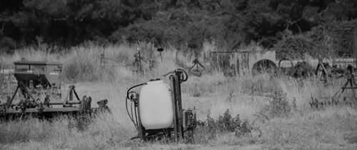 Field in August by Elena Zapassky, Photography for Sale on Singulart