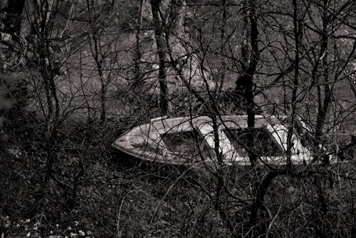 White boat Elena Zapassky