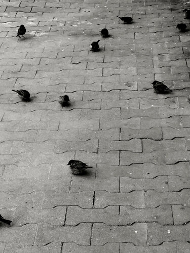 Cold morning by Elena Zapassky, Photography for Sale on Singulart