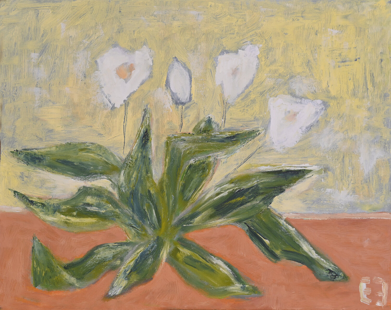 Home flower Elena Zapassky