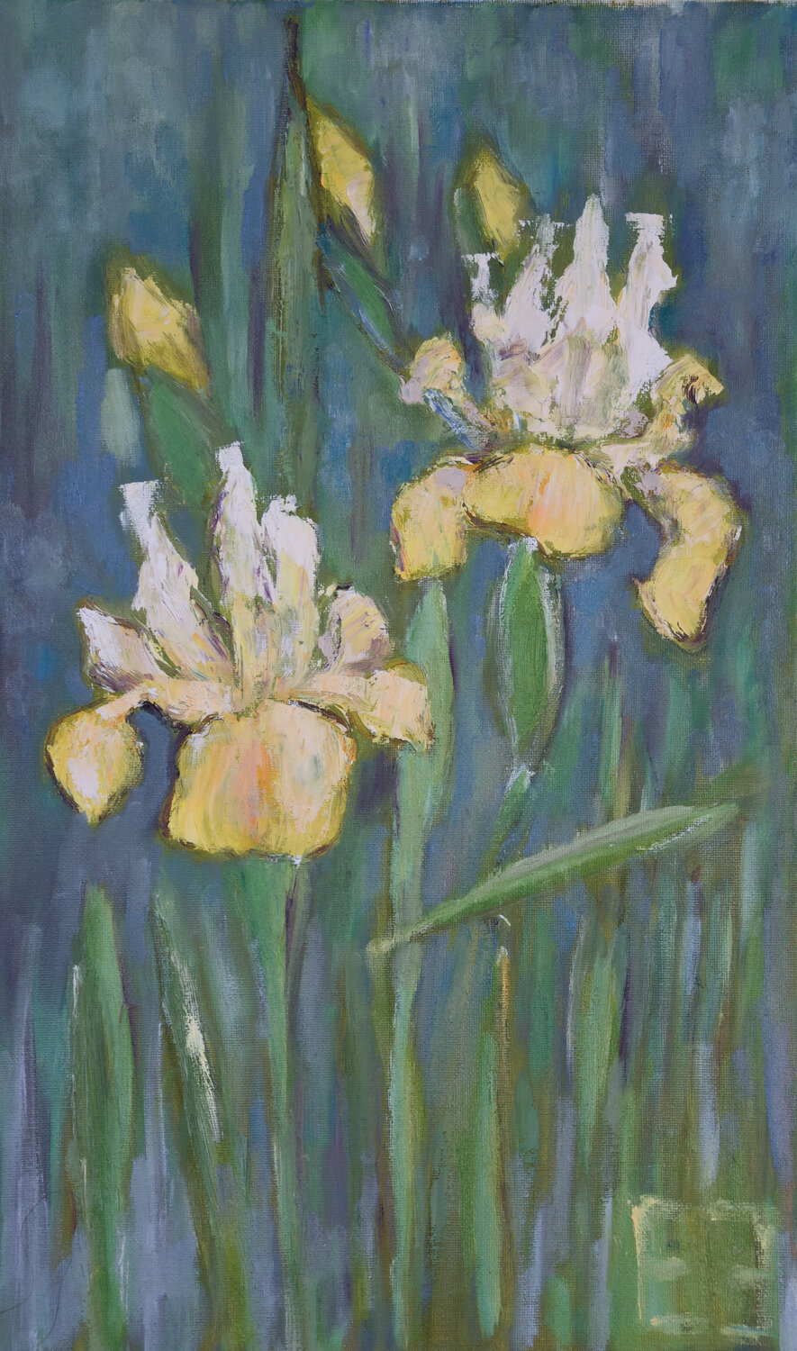 Yellow irises Elena Zapassky