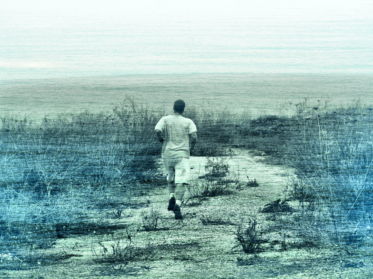 Running to the ocean Elena Zapassky