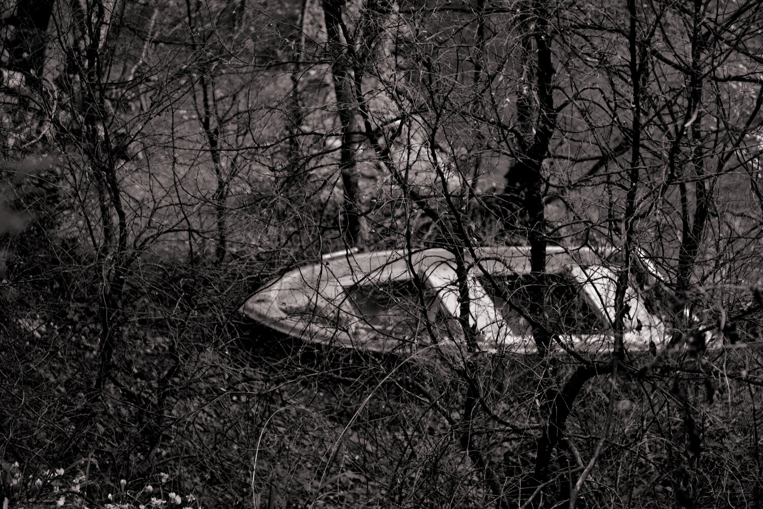 White boat Elena Zapassky