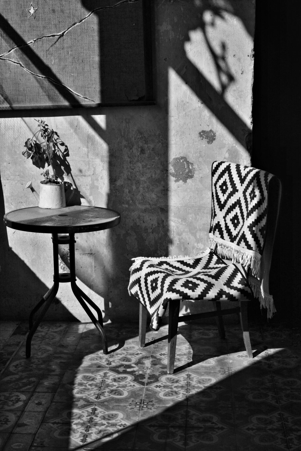 Jaffa's patio Elena Zapassky