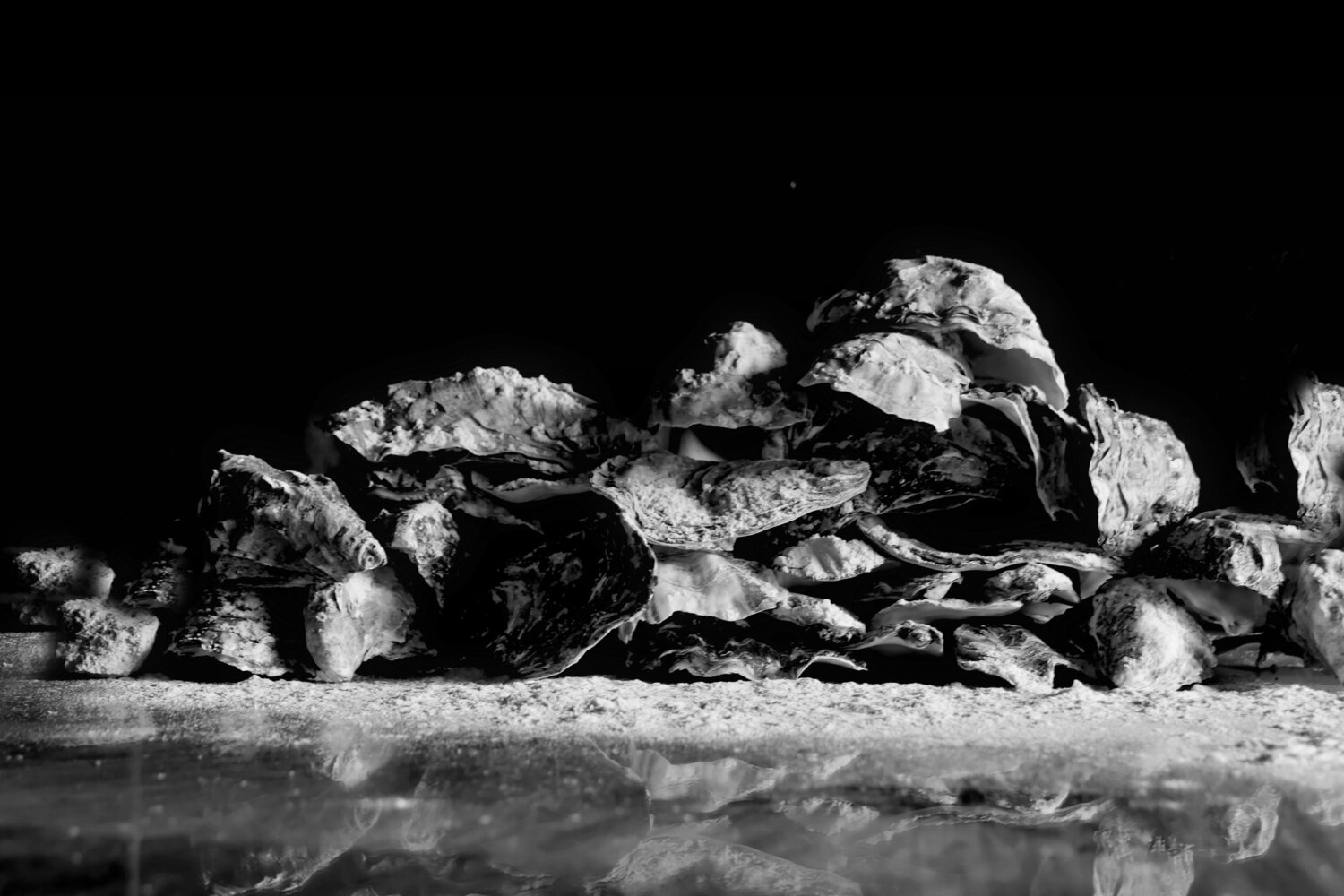 Snowy fjords on a moonlit night Elena Zapassky Fotografie zu verkaufen