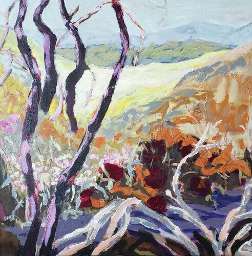 Ireland van Birgit Huttemann-Holz, Schilderij te koop op Singulart