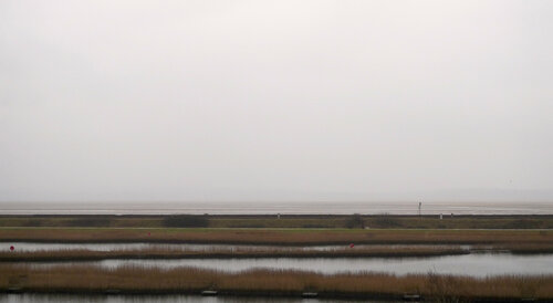 LLanelli #1 John Brooks