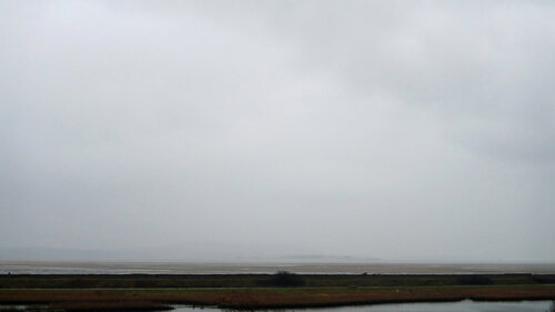 LLanelli #2 John Brooks