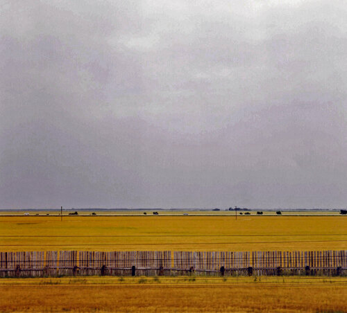 The plains of Saskatchewan John Brooks