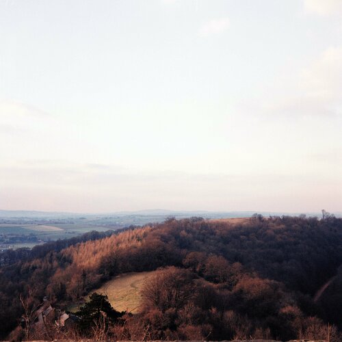 Autumn woodland John Brooks