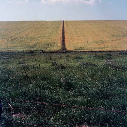 Divided field John Brooks