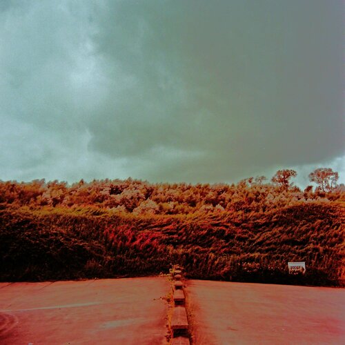 Red hedge John Brooks