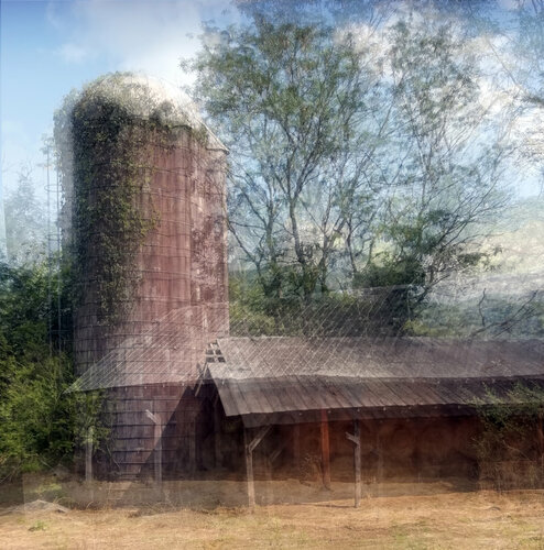 Farm Silo, North Carolina van John Brooks, Fotografie te koop op Singulart