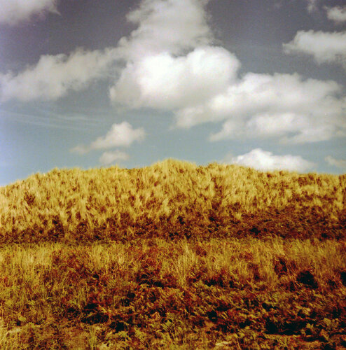 Cloud and sky di John Brooks, Fotografia in vendita su Singulart