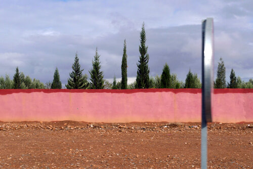 Pink Wall and trees John Brooks