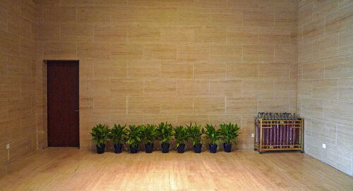 Plants and brollies John Brooks