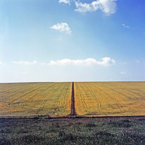 Field Line John Brooks