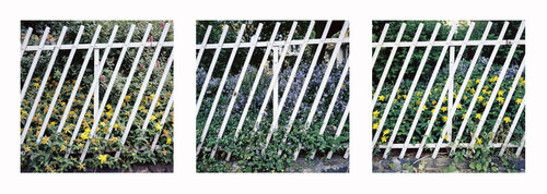 Picket fence and flowers von John Brooks, Fotografie kaufen auf Singulart