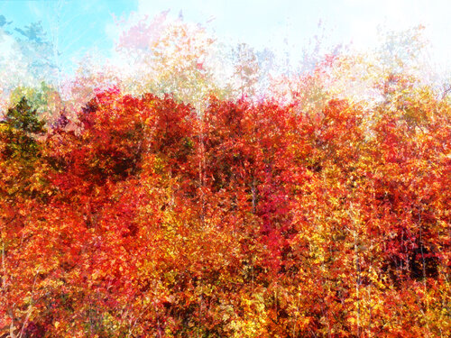 Autumn Leaves John Brooks