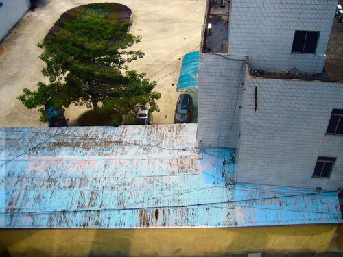 Blue Roof and tree par John Brooks, Photographie en vente sur Singulart