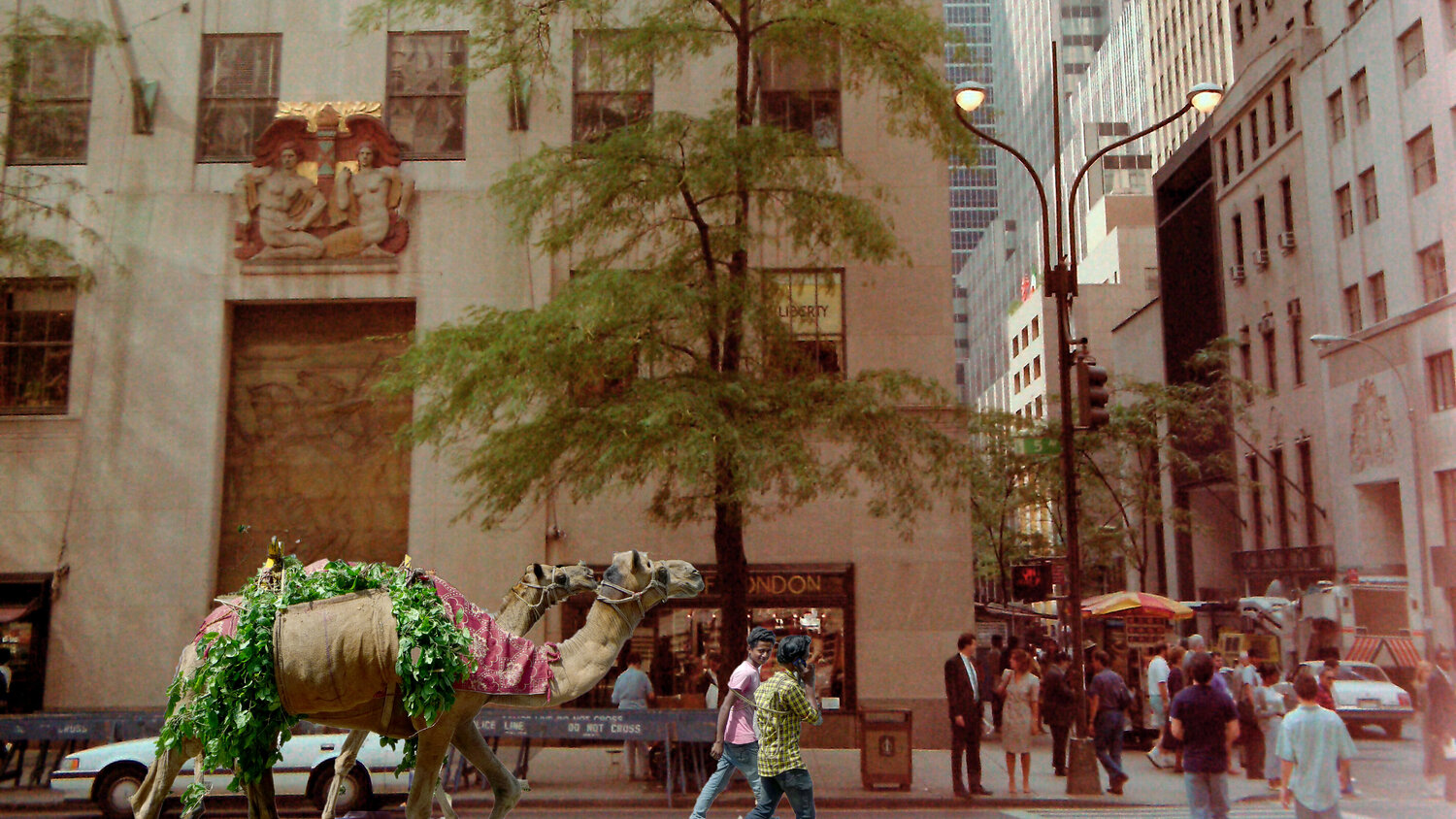 A camel in New York City John Brooks