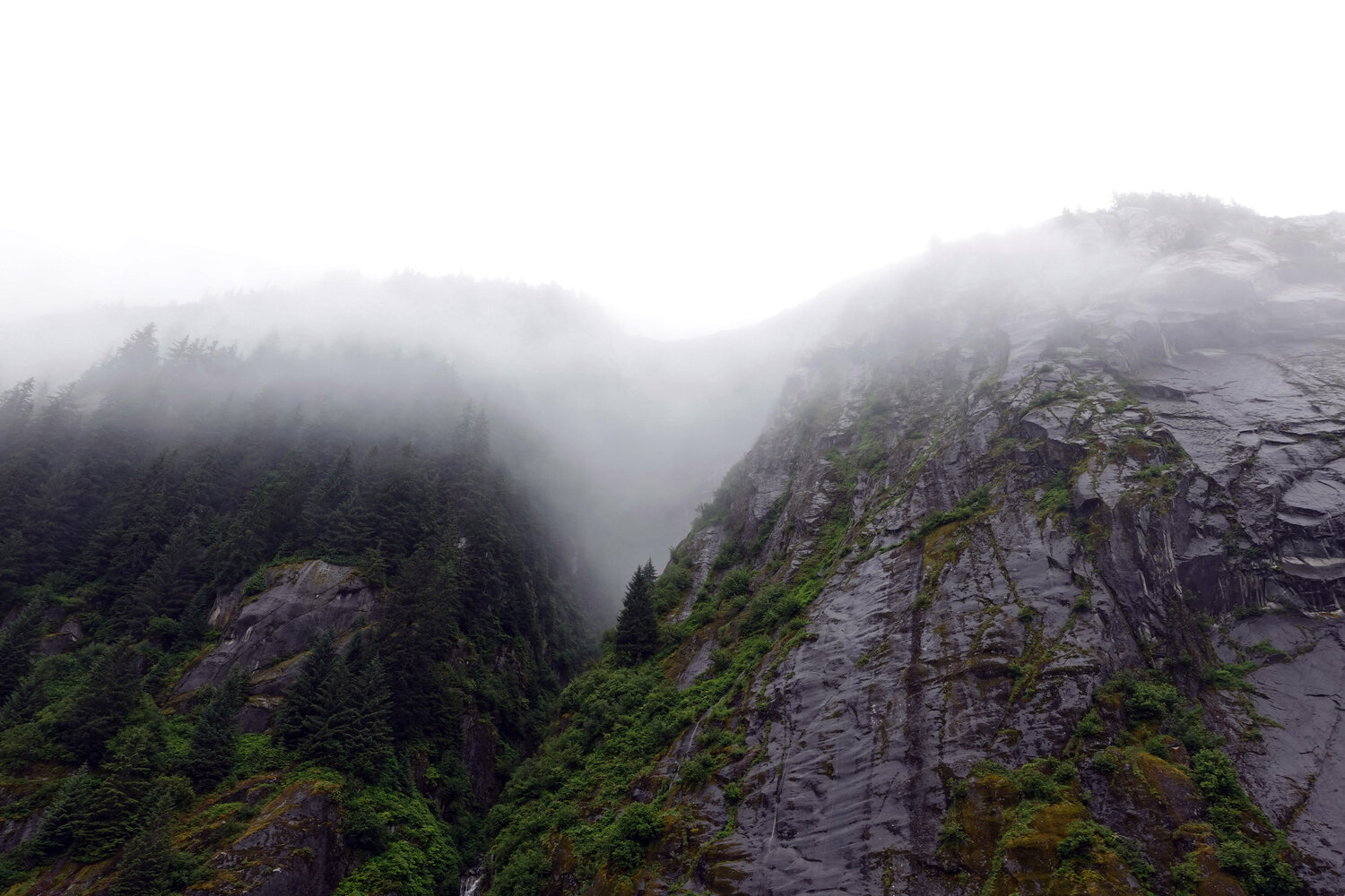 Mountain in the mist, Alaska John Brooks