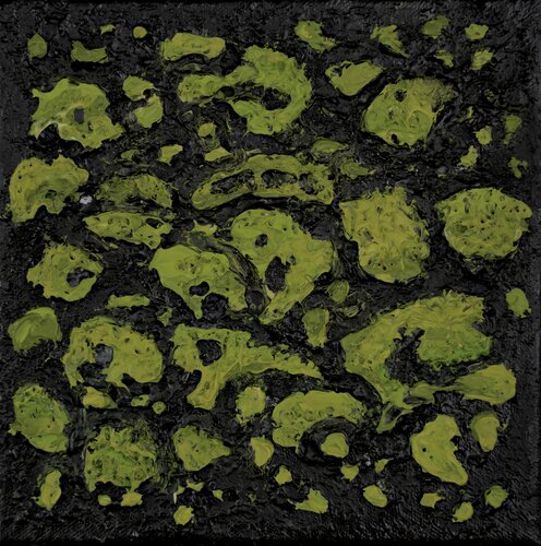 Mossy Lava no. 2451 von Klara Gunnlaugsdottir, Malerei kaufen auf Singulart