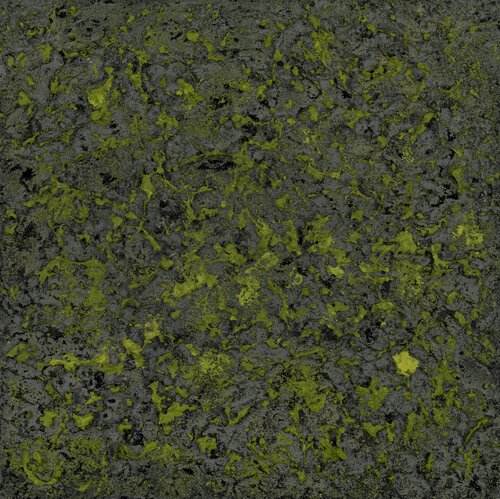 Mossy Lava Field no. 2455 von Klara Gunnlaugsdottir, Malerei kaufen auf Singulart