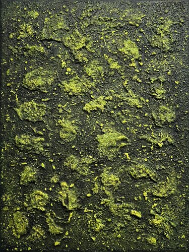 Mossy Lava Field no. 2458 di Klara Gunnlaugsdottir, Pittura in vendita su Singulart